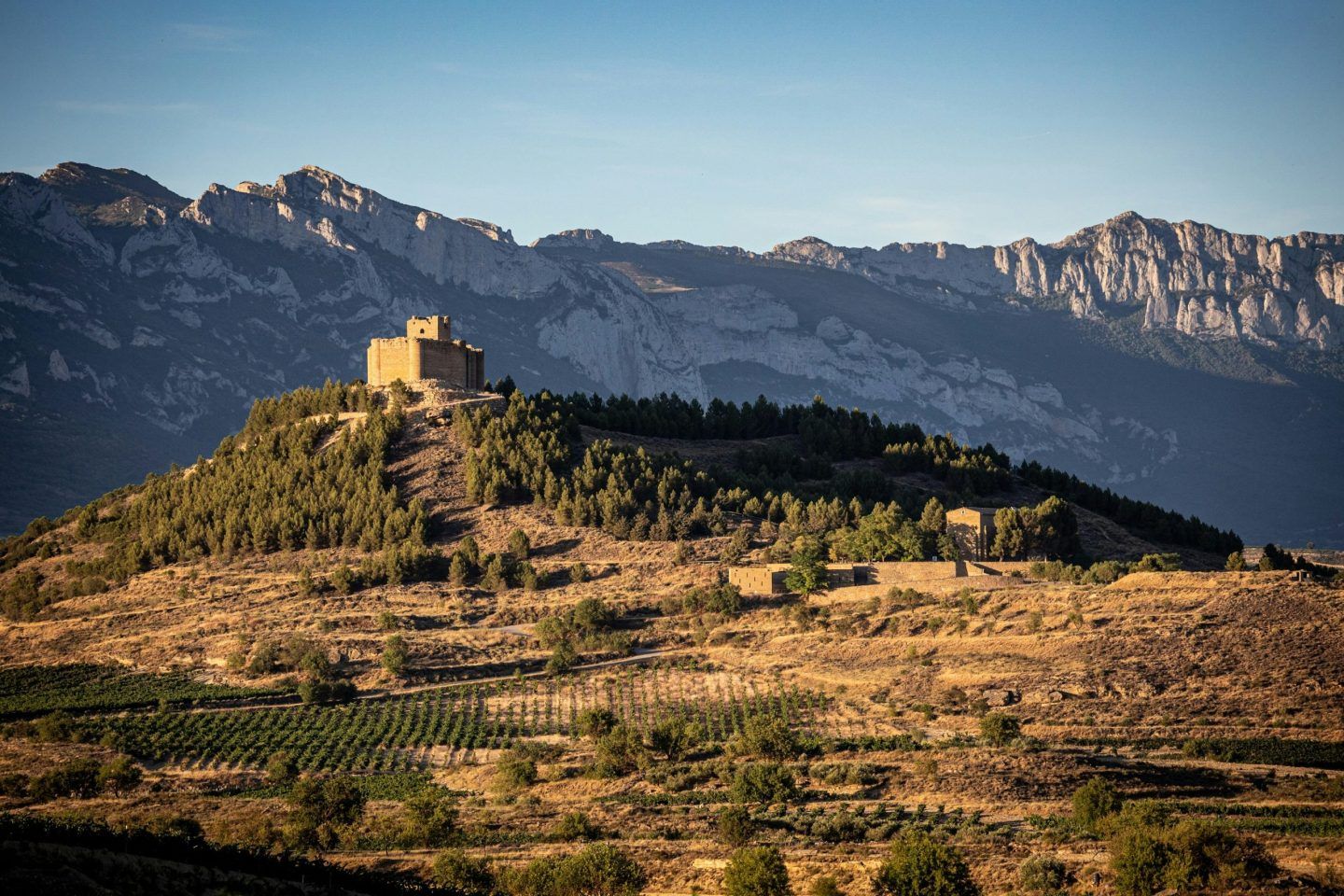 Is Rioja the Next Great White Wine Region?