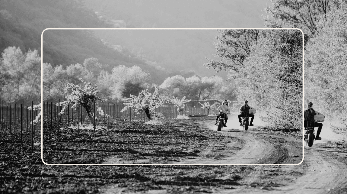 Five Natural Winemakers in California You Absolutely Need to Know