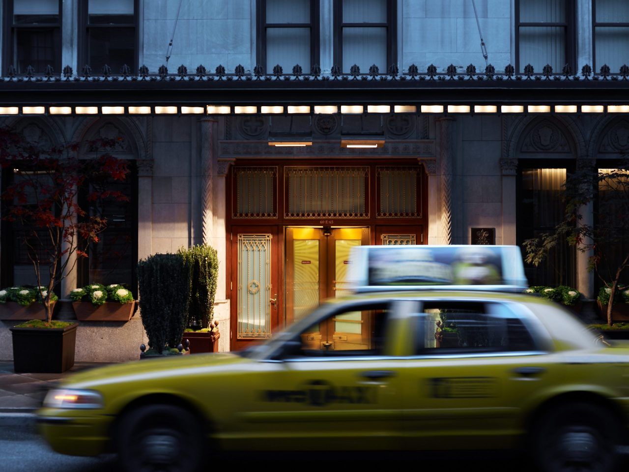 Daniel Somm Erin Healy And Her Wine List Favorites That Everyone Overlooks