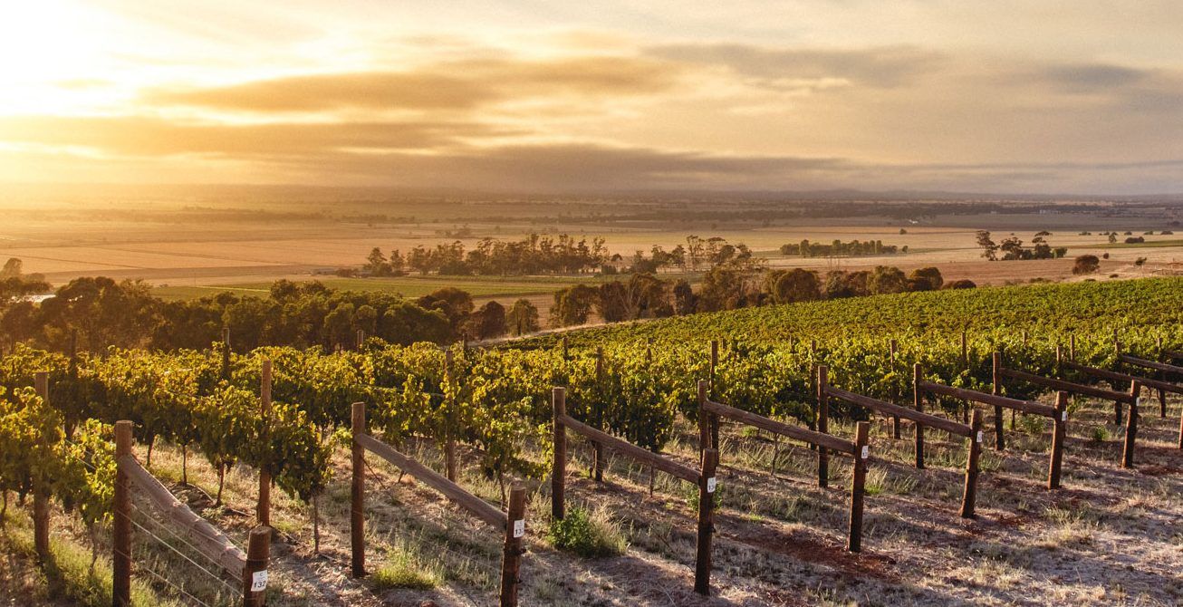 7 Bottles That Explain Australian Wine Right Now